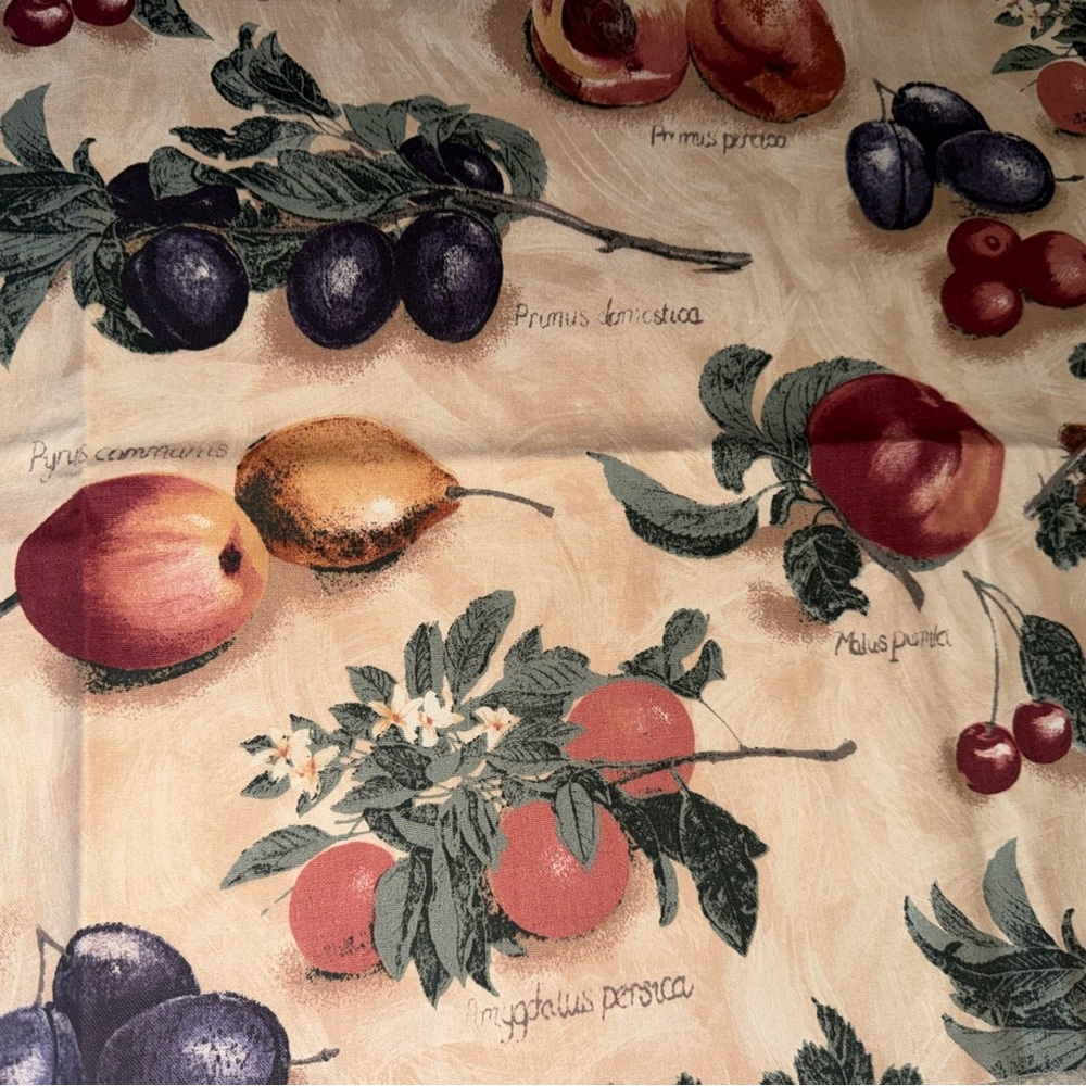 4 Pieces 18” L , 2 @ 47”w, 2@ 54”w Terior Fabric Design Latin Names Fruit